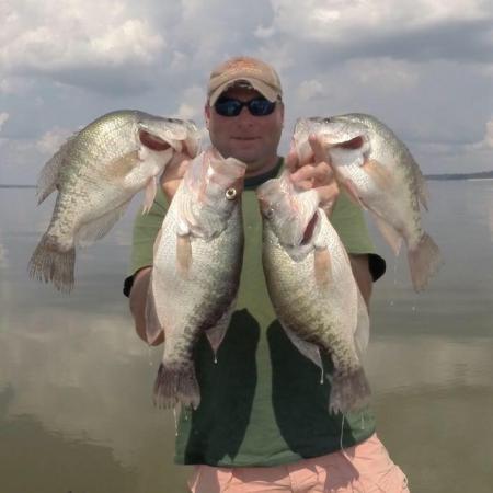 Galleries  Grenada Lake Crappie Fishing Guides